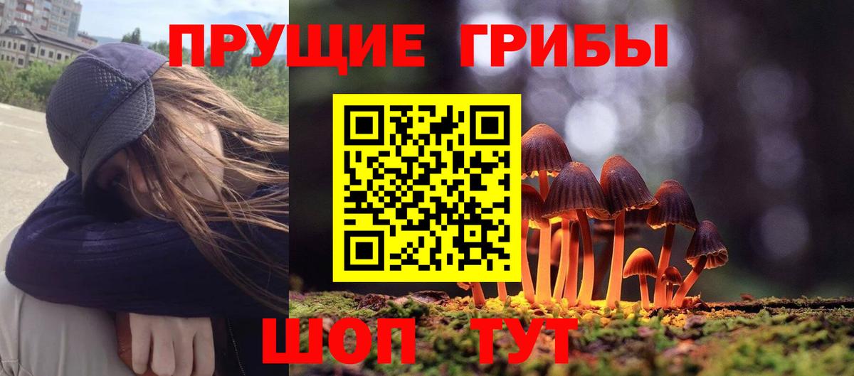 Галлюциногенные грибы Magic Shrooms  Вход с VPN  Карталы 